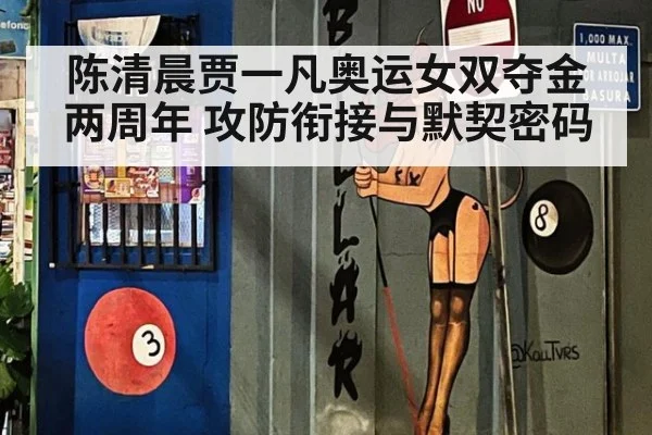 陈清晨贾一凡奥运女双夺金两周年 攻防衔接与默契密码